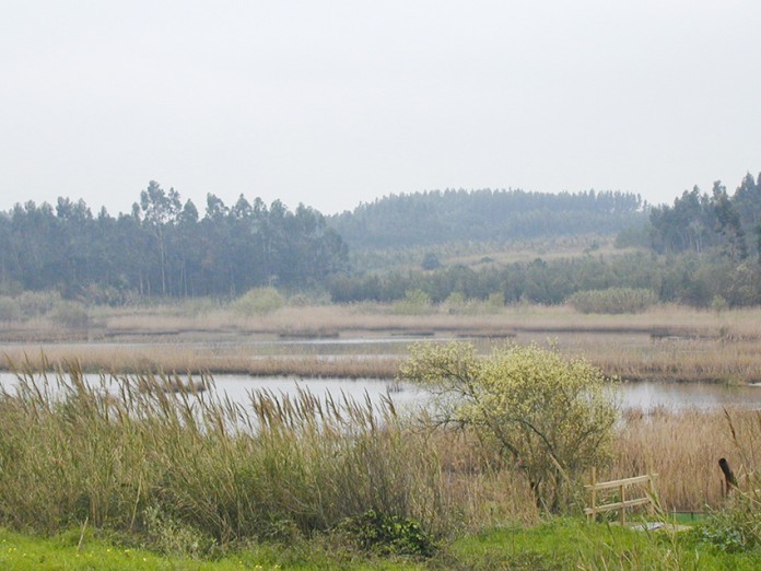 Ecocaminhada no Paul de Tornada