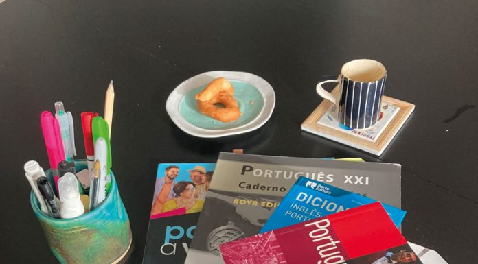 The Help and the Hurdle: Learning the Lingo