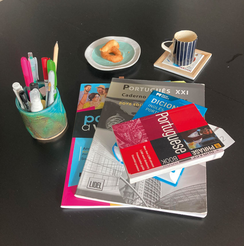 The Help and the Hurdle: Learning the Lingo