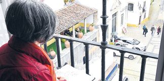 Escritor José Luís Peixoto assina curadoria do Festival Latitudes