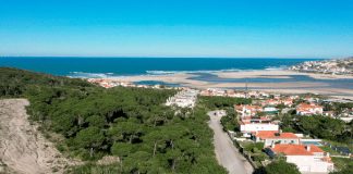 Terrenos no Bom Sucesso vão a leilão por 7,8 milhões de euros