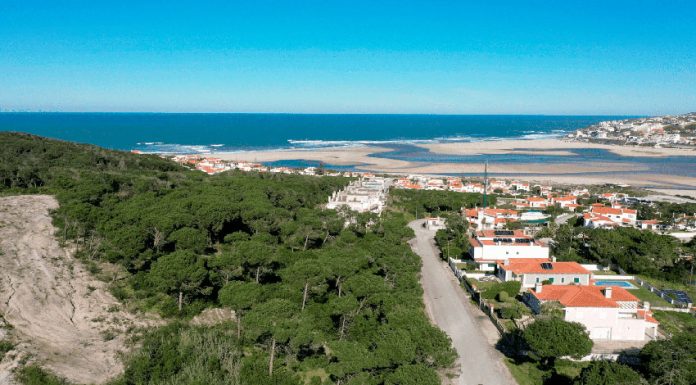 Terrenos no Bom Sucesso vão a leilão por 7,8 milhões de euros