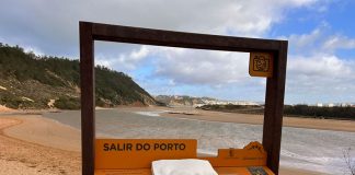 Salir de Matos e Salir do Porto podem tornar-se vila