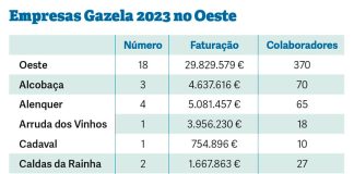 Oeste tem 18 empresas Gazela