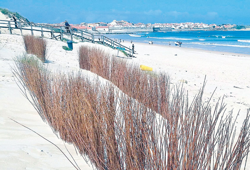Storms are brewing! Climate change along the Silver Coast