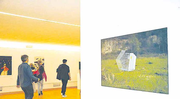 Pedido de recurso do CCC foi recusado pela DGArtes e Ministério