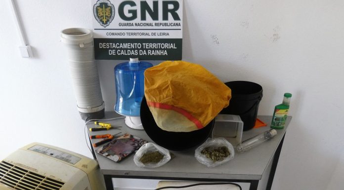 Homem detido com 113 doses de cannabis em Turquel
