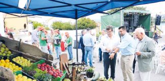 Salir de Matos deu-se a conhecer