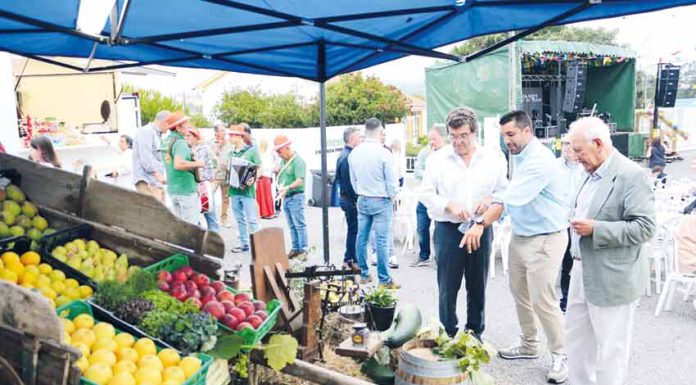 Salir de Matos deu-se a conhecer