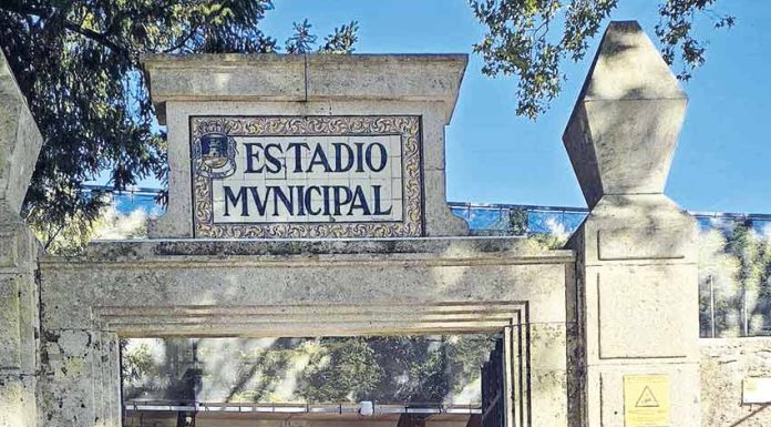 Atletismo: Descida não ensombra grande prestação