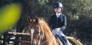 Equitação Áurea Sábio vai representar Portugal no Europeu de Dressage
