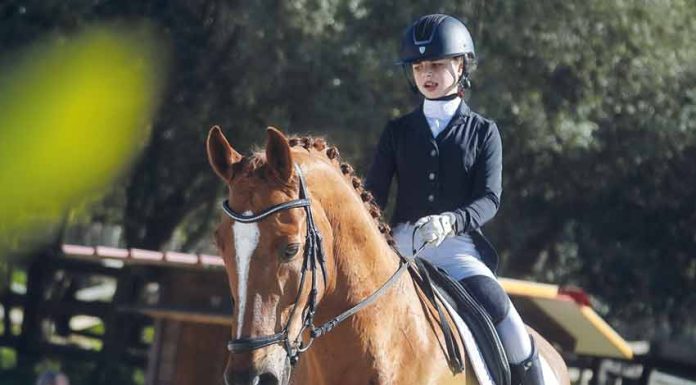 Equitação Áurea Sábio vai representar Portugal no Europeu de Dressage