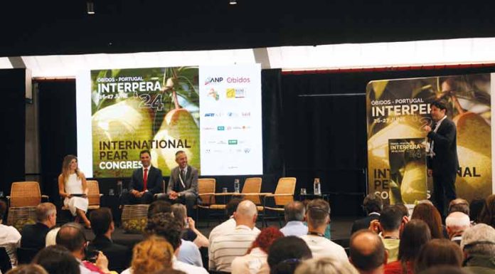 Interpera discutiu desafios e oportunidades para o futuro em Óbidos