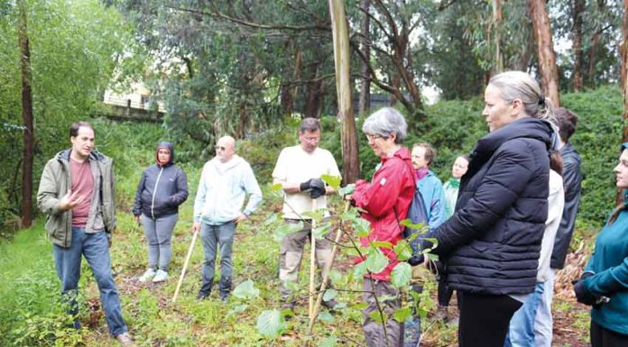 Voluntários juntam-se para limpar o parque do rio da Cal