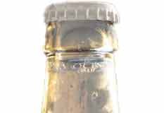 Lançada uma nova marca de kombucha caldense