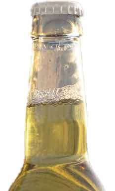 Lançada uma nova marca de kombucha caldense