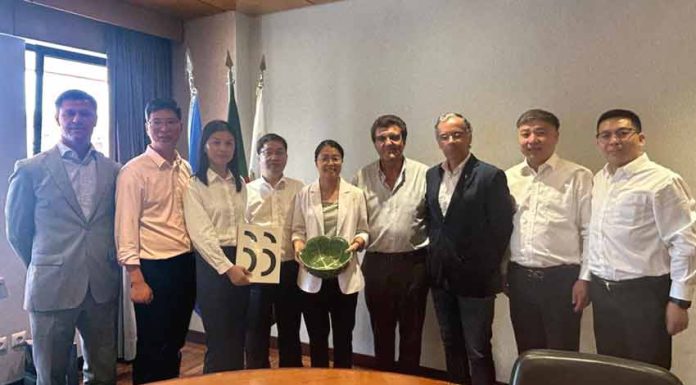 Comitiva chinesa esteve nas Caldas