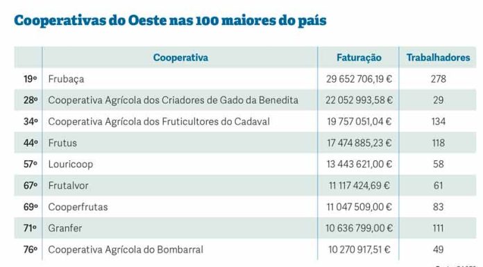 Frubaça é a maior cooperativa do Oeste e entrou no top 20 do país
