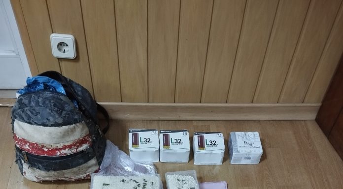 PSP recupera armas e munições em terreno baldio de Alcobaça