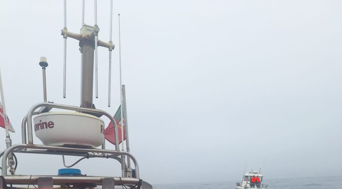 Embarcação de recreio resgatada ao largo da Nazaré após avaria