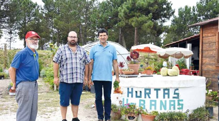 Hortas Urbanas já têm oito anos e mais de 80 utilizadores