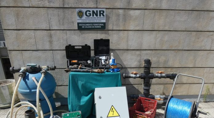 Dois homens constituídos arguidos por furto em explorações agrícolas em Óbidos