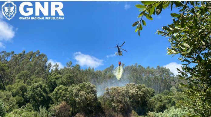 Mulher detida por incêndio florestal nos Vidais