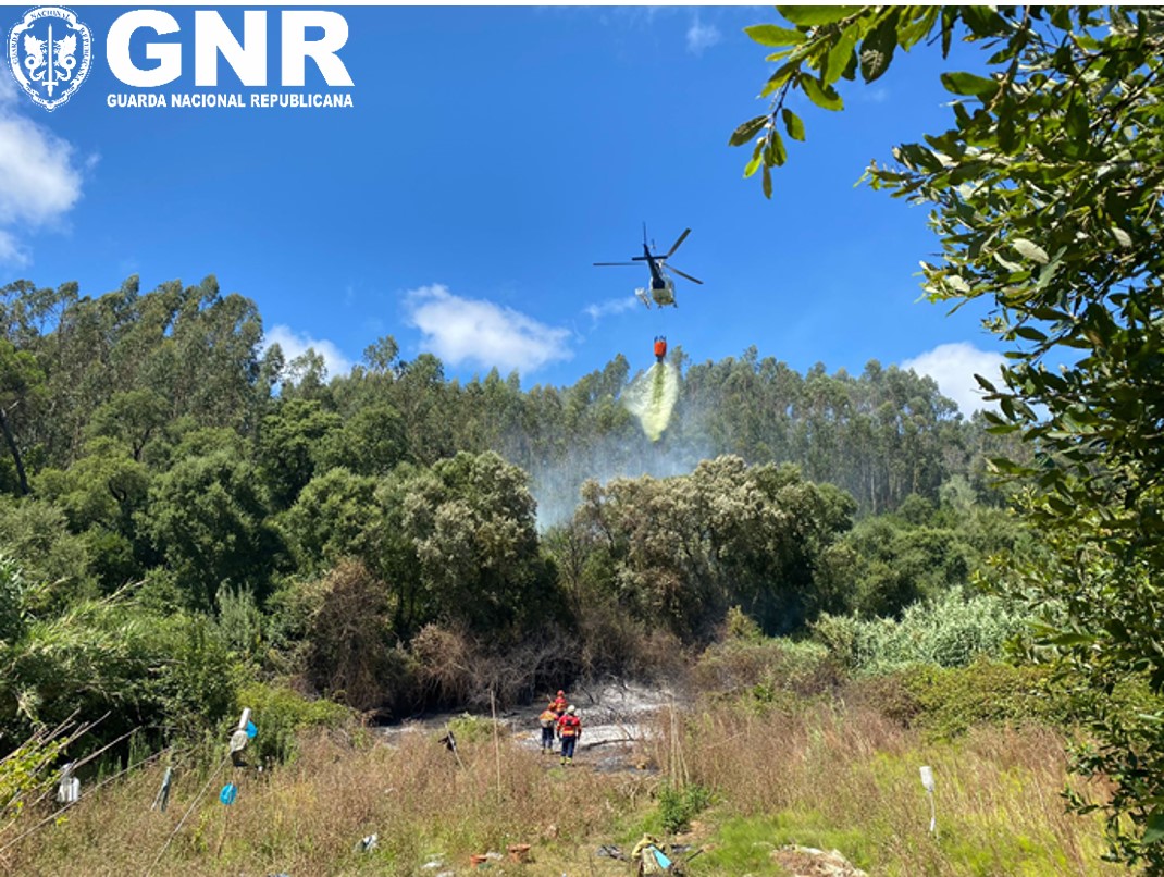 Mulher detida por incêndio florestal nos Vidais