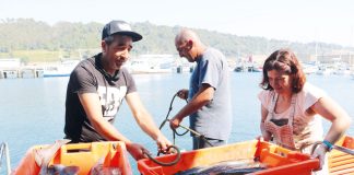 Peniche é o porto do país com maior volume