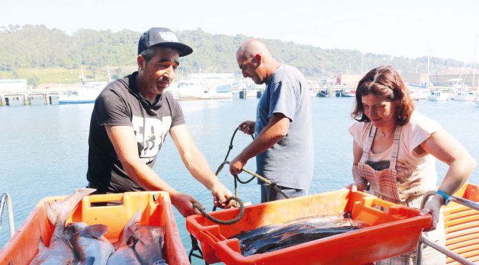 Peniche é o porto do país com maior volume