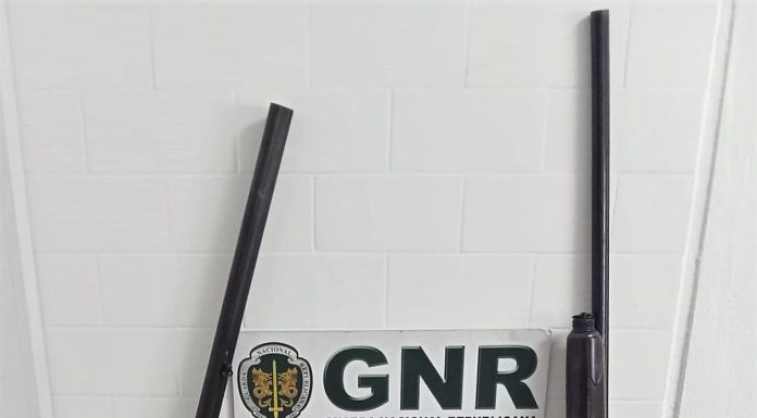 Roubo de casa no Bairro Sra. da Luz leva a sete detenções