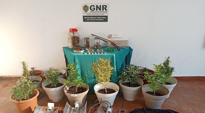 Quatro detidos em Ferrel por tráfico de drogas e posse de arma proibida