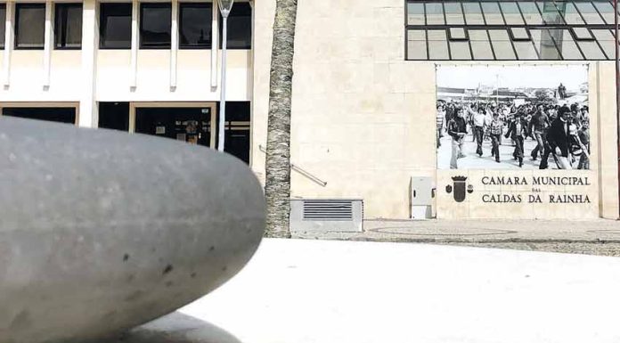 There’s a Department for That! Municipal Power Explained