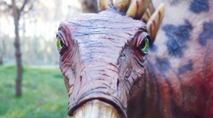 Uma viagem jurássica pela região Oeste