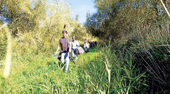 Plantação de árvores celebrou 36º aniversário da Associação PATO