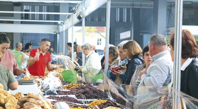 Feira de S. Simão está a decorrer até sexta-feira