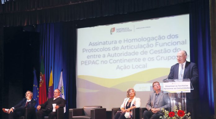 Leader Oeste com cinco milhões para investir em projetos regionais