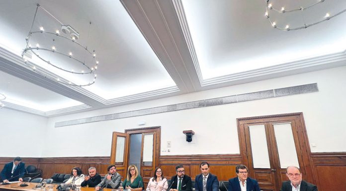 Delegação das Caldas, Óbidos e Rio Maior defendeu Hospital na AR