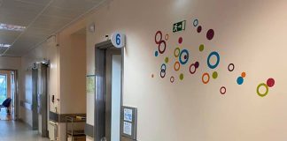 USF da Tornada atingiu a maioridade