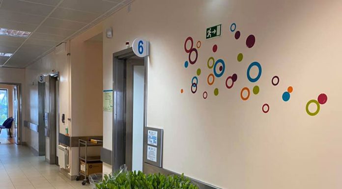 USF da Tornada atingiu a maioridade