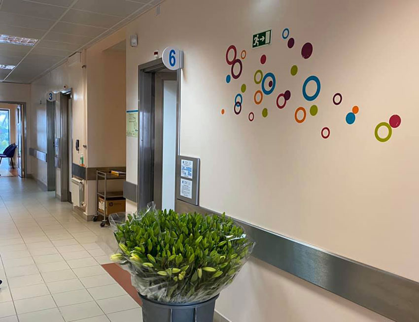 USF da Tornada atingiu a maioridade