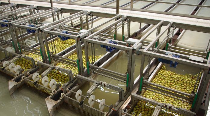 Cooperfrutas foi uma das quatro distinguidas pelo Continente