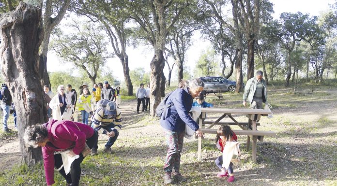 Autarquia quer criar Centro interpretativo nas Mestras