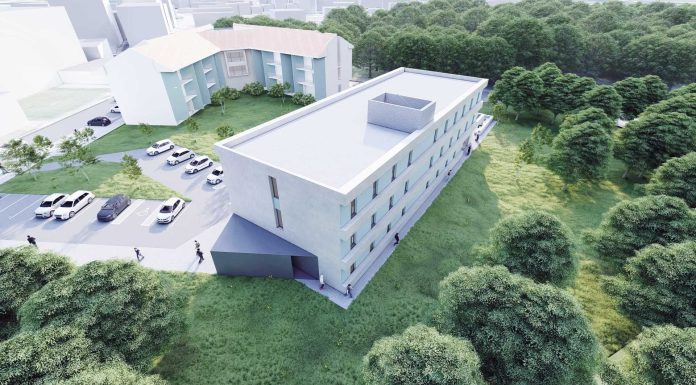 Nova residência faz transplantar árvores protegidas