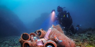 Um gin, um licor e uma ginja do fundo do mar