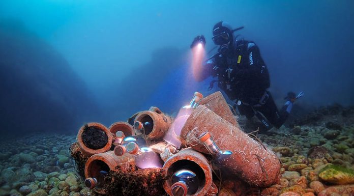 Um gin, um licor e uma ginja do fundo do mar