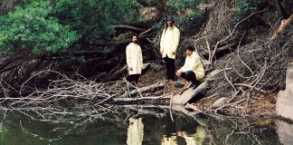 Memória de Peixe está de volta