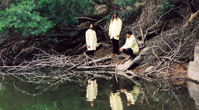 Memória de Peixe está de volta