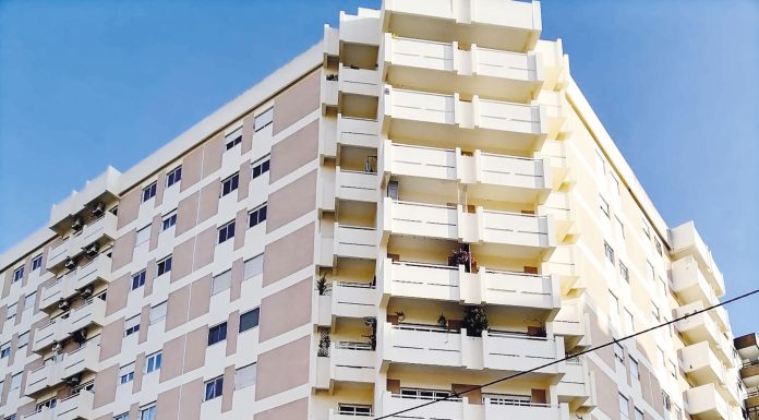 Baratas em prédio geram queixas de moradores