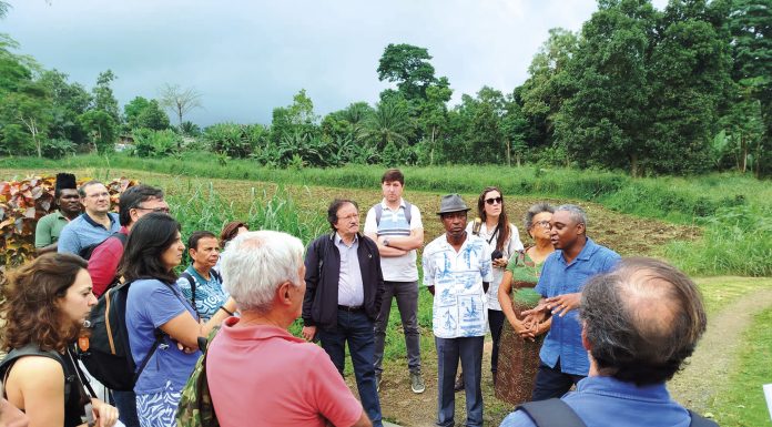 LeaderOeste levou boas práticas a S. Tomé e Príncipe